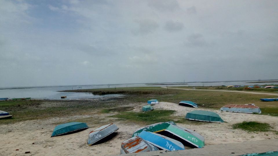 Photo of Nalsarovar -, Nalsarovar, Gujarat, India by Hardik Bhakhar