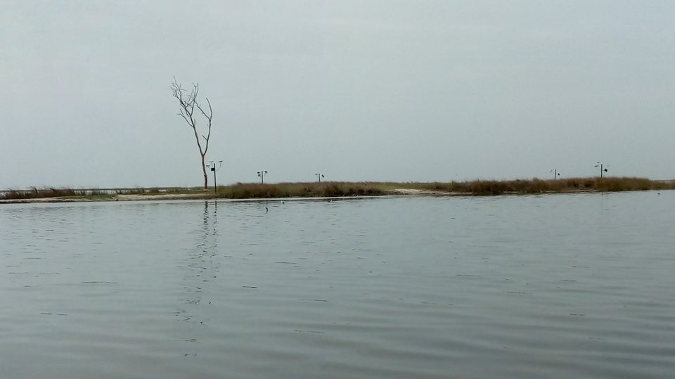 Photo of Nalsarovar -, Nalsarovar, Gujarat, India by Hardik Bhakhar