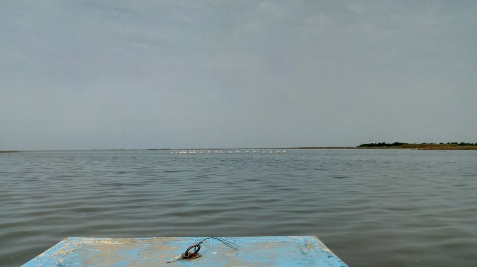 Photo of Solo Road Trip in Outskirts of Ahemdabad by Hardik Bhakhar