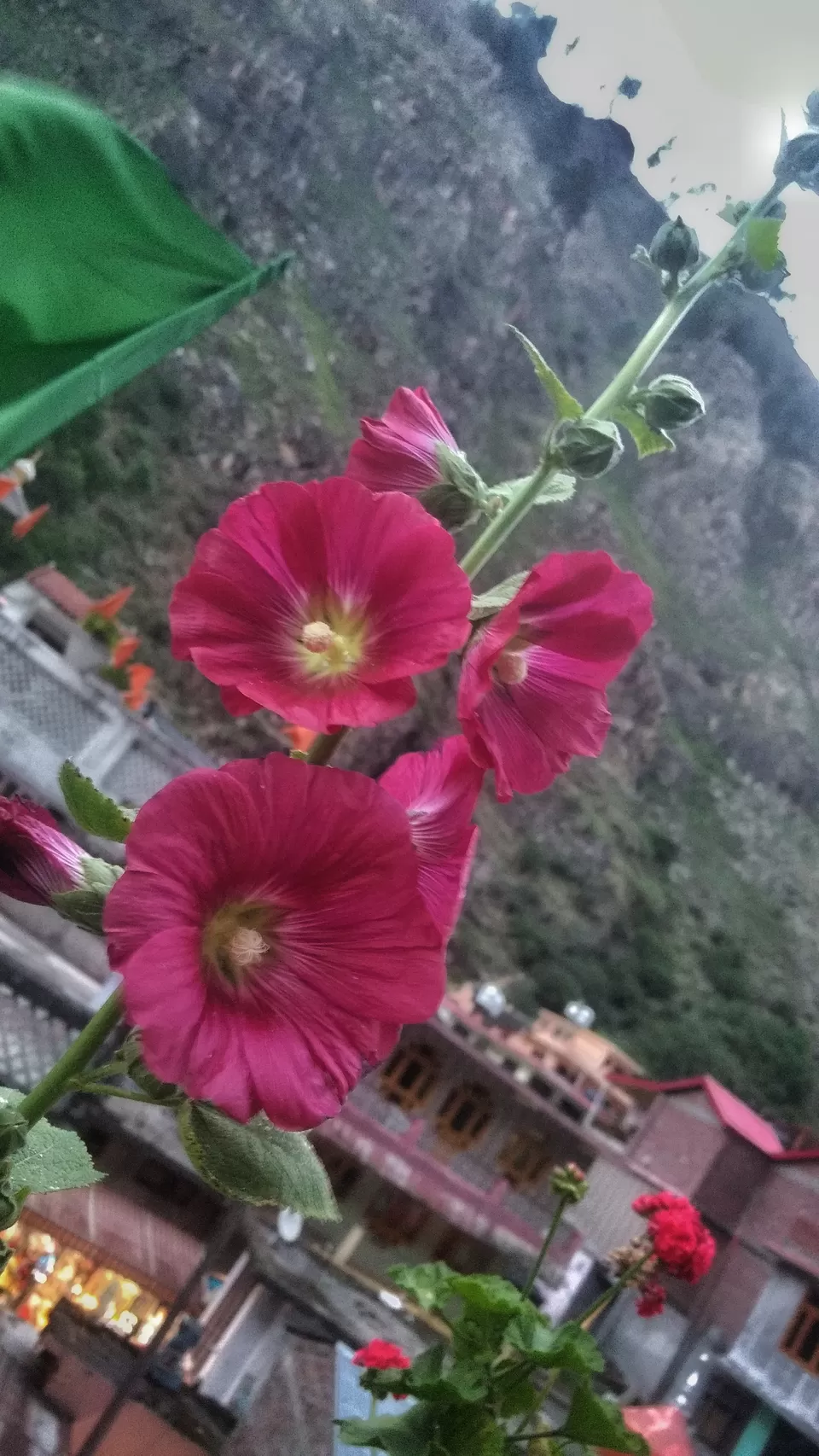 Photo of Manikaran: How this sacred Himalayan town played the saviour I needed by Surbhi Kukreja