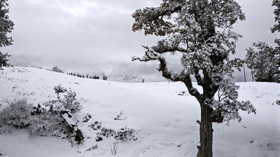 Photo of Treading up the Alaknanda: Ice-cold water to Ice beneath your feet by Roshan Kumar