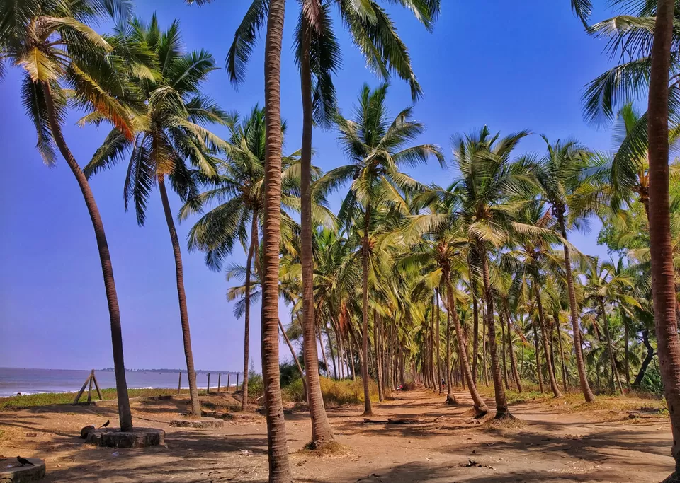 Photo of Hidden remains of a Portuguese town near Mumbai. #vasai #bassein #maharashtra by Abdul Mulla