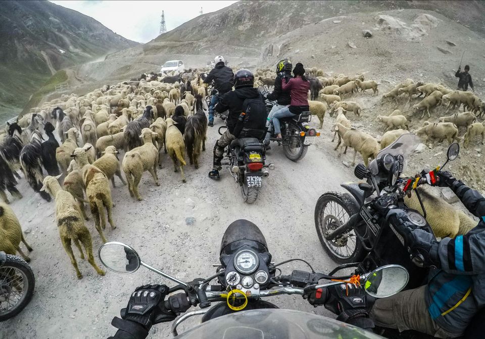 Photo of The Indian Motorcycle Diaries by Tushar Kambli