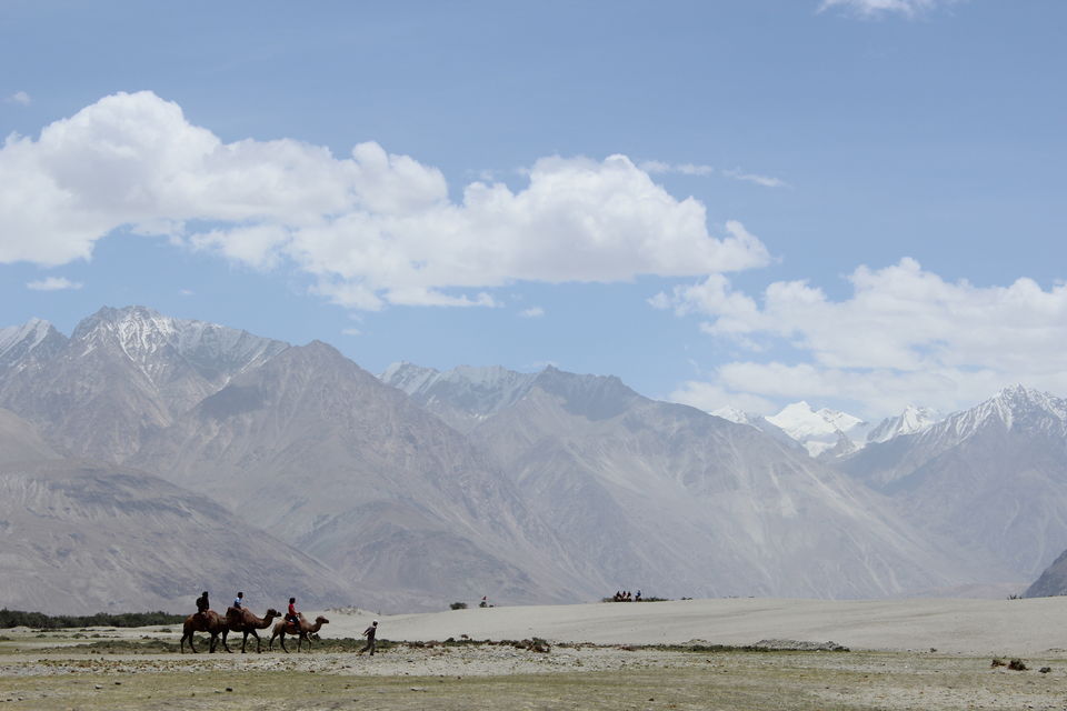 Photo of 15 crazy people, 3 caravans, 10 days and one amazing destination – That's how we got Leh'd! 3/74 by Shruti