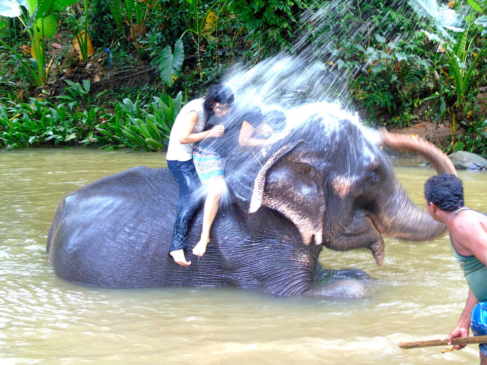Photo of Wonder of Asia – Sri Lanka 28/94 by Shruti