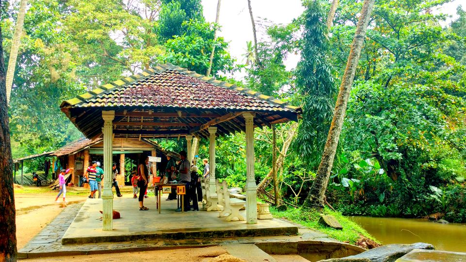 Photo of Wonder of Asia – Sri Lanka 41/94 by Shruti