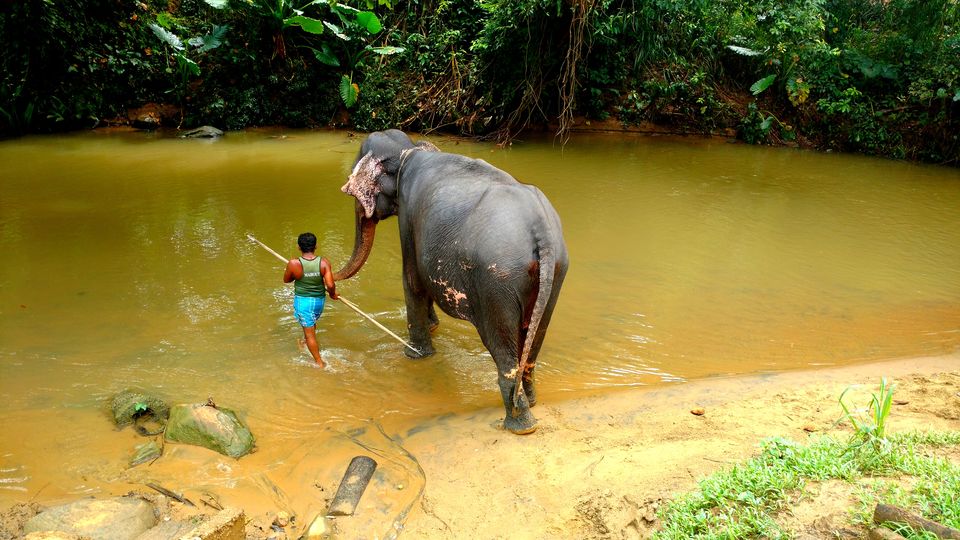 Photo of Wonder of Asia – Sri Lanka 42/94 by Shruti