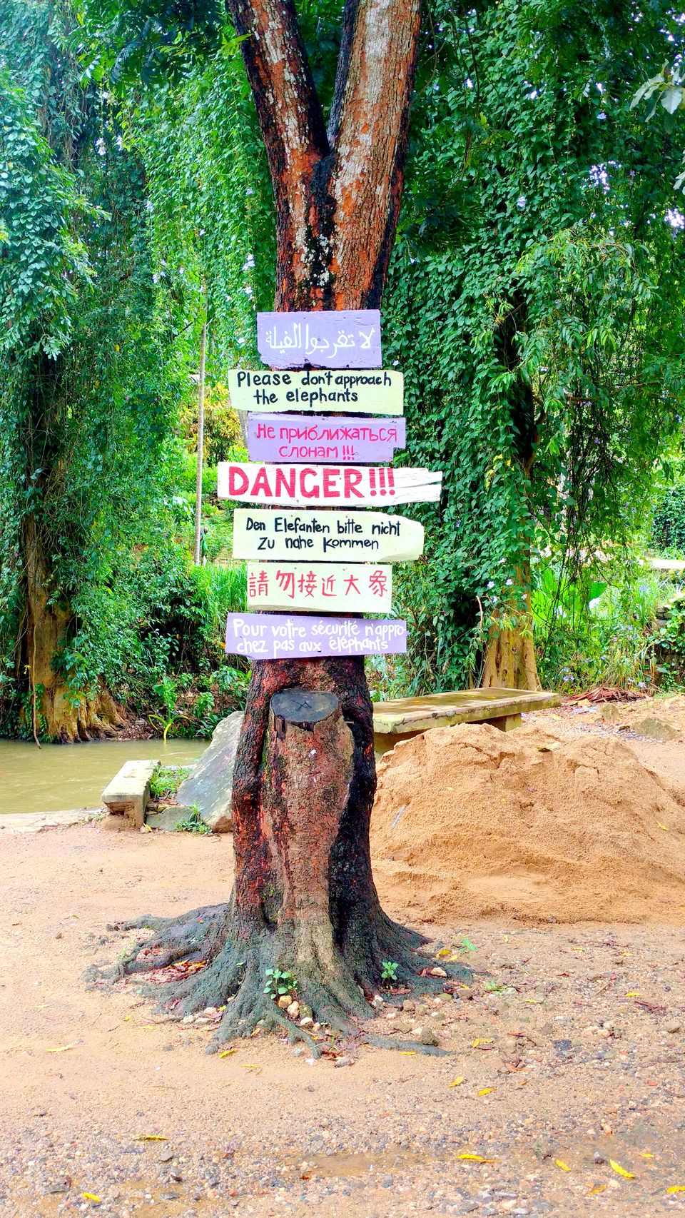 Photo of Wonder of Asia – Sri Lanka 44/94 by Shruti