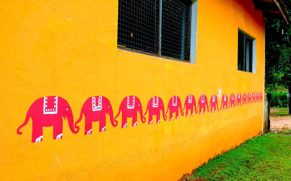 Photo of Wonder of Asia – Sri Lanka 45/94 by Shruti