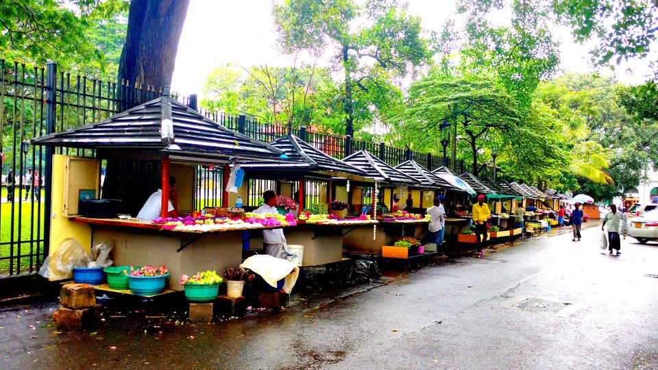 Photo of Wonder of Asia – Sri Lanka 51/94 by Shruti