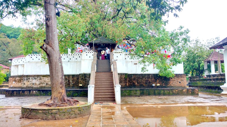 Photo of Wonder of Asia – Sri Lanka 52/94 by Shruti