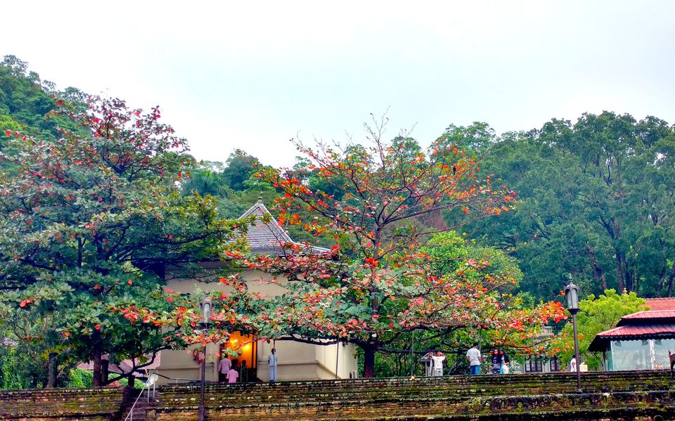 Photo of Wonder of Asia – Sri Lanka 55/94 by Shruti