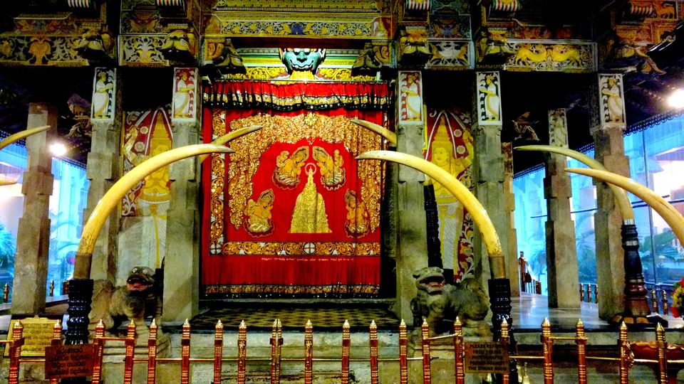 Photo of Wonder of Asia – Sri Lanka 58/94 by Shruti