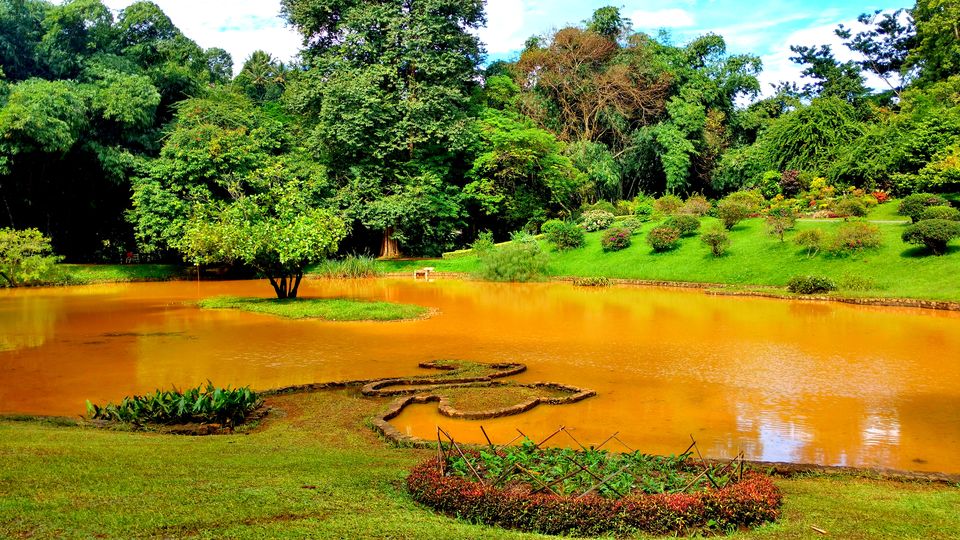 Photo of Wonder of Asia – Sri Lanka 60/94 by Shruti