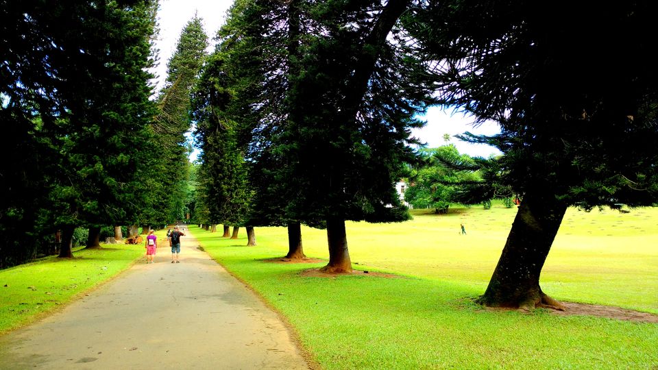 Photo of Wonder of Asia – Sri Lanka 67/94 by Shruti