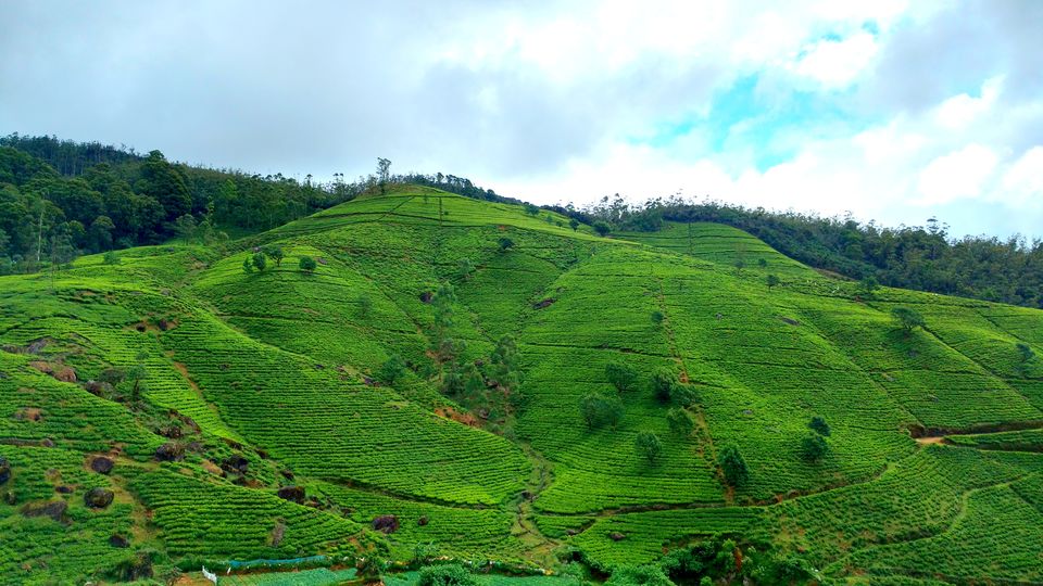 Photo of Wonder of Asia – Sri Lanka 78/94 by Shruti