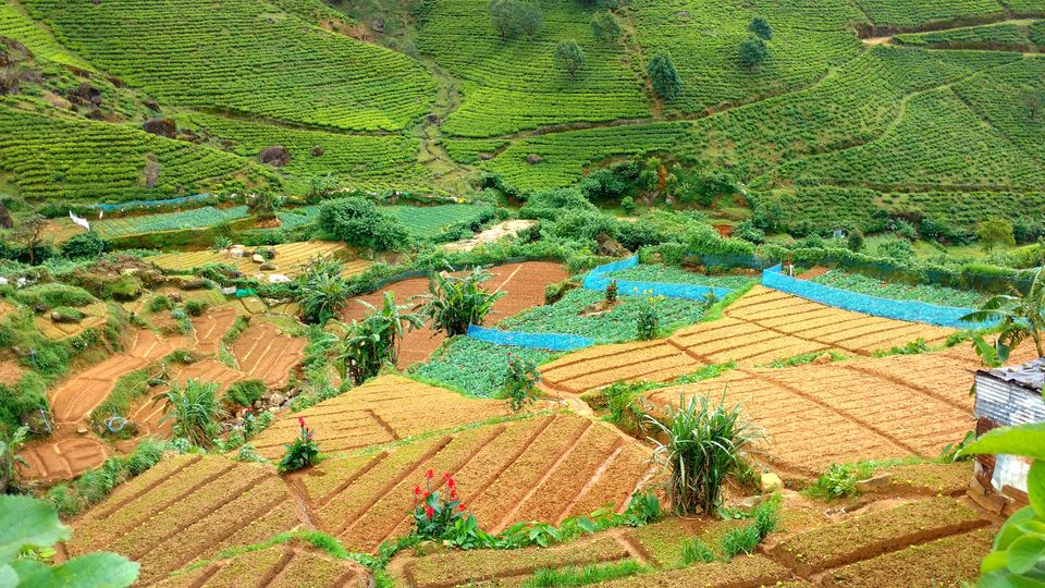 Photo of Wonder of Asia – Sri Lanka 79/94 by Shruti