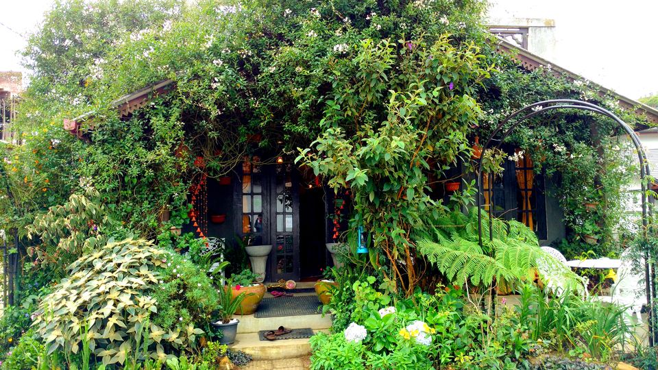 Photo of Wonder of Asia – Sri Lanka 85/94 by Shruti