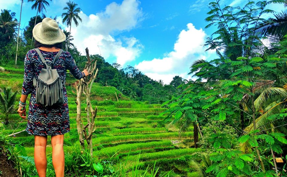 Photo of Tegalalang Rice Terrace, Jalan Raya Tegallalang, Tegallalang, Gianyar, Bali, Indonesia by Shruti