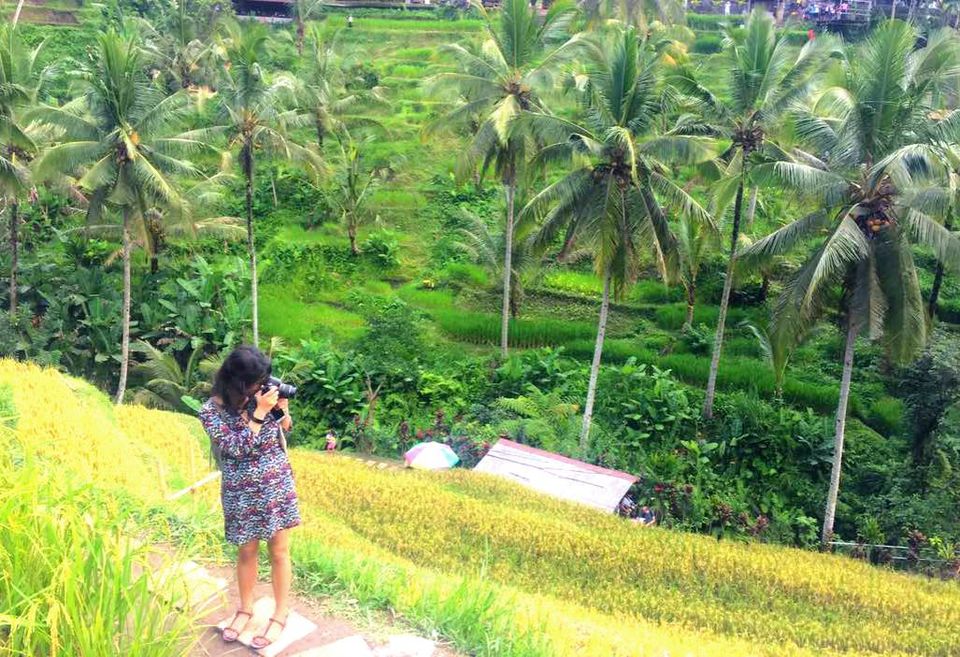 Photo of Tegalalang Rice Terrace, Jalan Raya Tegallalang, Tegallalang, Gianyar, Bali, Indonesia by Shruti