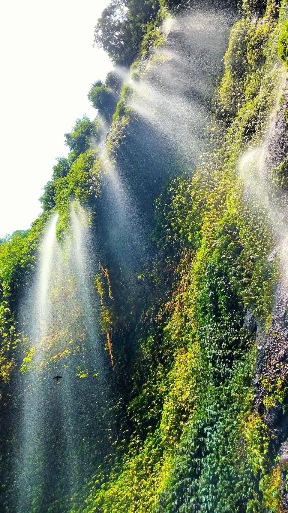Photo of Tegenungan Waterfall, Kemenuh, Gianyar, Bali, Indonesia by Shruti
