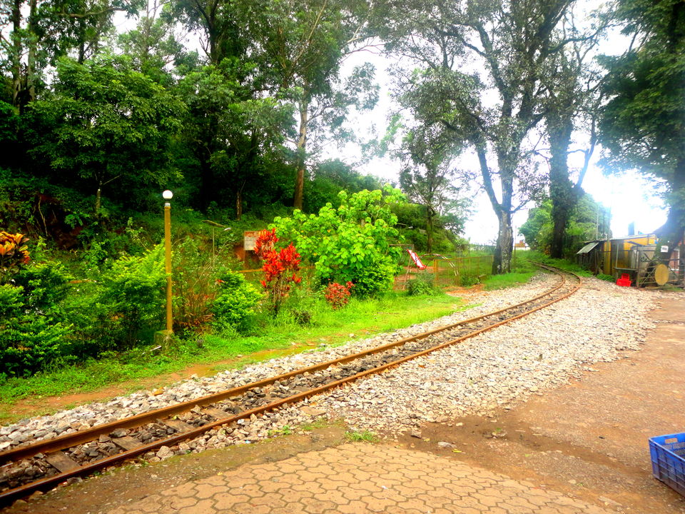 Places to Visit in Coorg in One Day, One Day Coorg Trip Plan - Tripoto