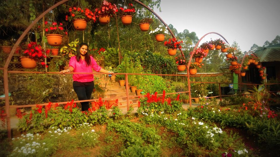 Photo of 7 days in God's own country - Kerala 12/83 by Shruti