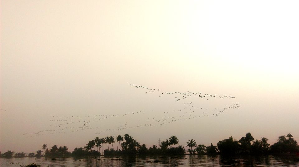 Photo of 7 days in God's own country - Kerala 51/83 by Shruti