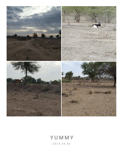 Photo of Travel Express with Mastani Musafir 6/20 by Tulika Anand {Mastani Musafir}