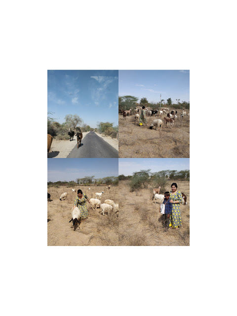 Photo of Travel Express with Mastani Musafir 12/20 by Tulika Anand {Mastani Musafir}