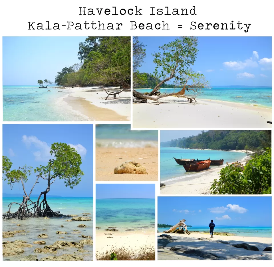 Photo of Havelock Island, Havelock Island by Ishan Vartak