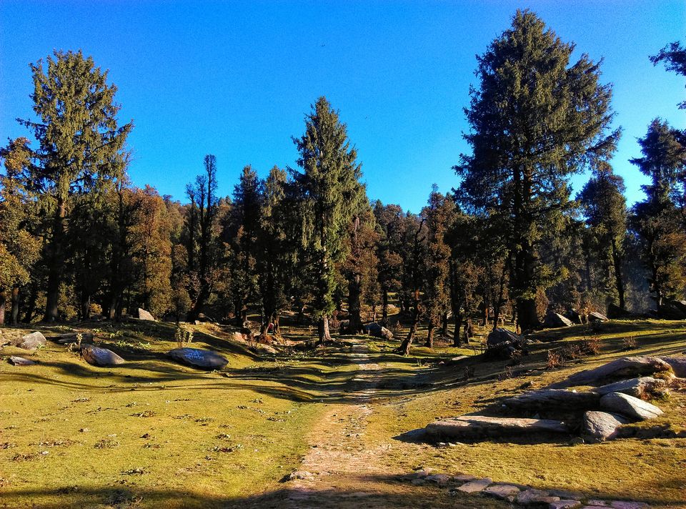 Photo of SOLO TREK TO CHURDHAR 3/9 by ranjan juneja