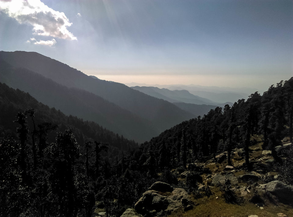 Photo of SOLO TREK TO CHURDHAR 6/9 by ranjan juneja