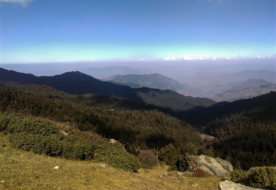 Photo of SOLO TREK TO CHURDHAR 7/9 by ranjan juneja