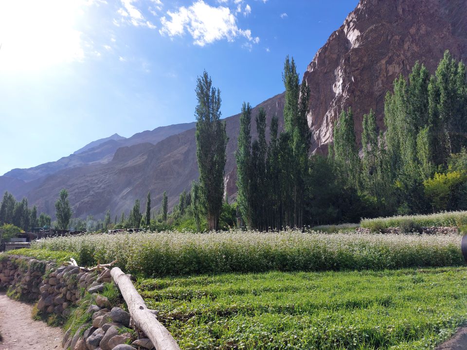 Photo of Leh Main Market, Leh by Mukul Pathade