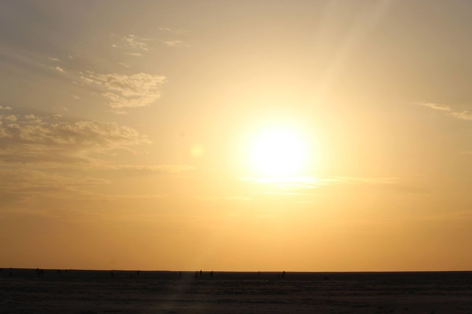 Photo of Budget Travel From Ahmedabad To Kutch Rann Festival @10,000/- ! #TrainTravel #BudgetTrip by Travel Food Fashions