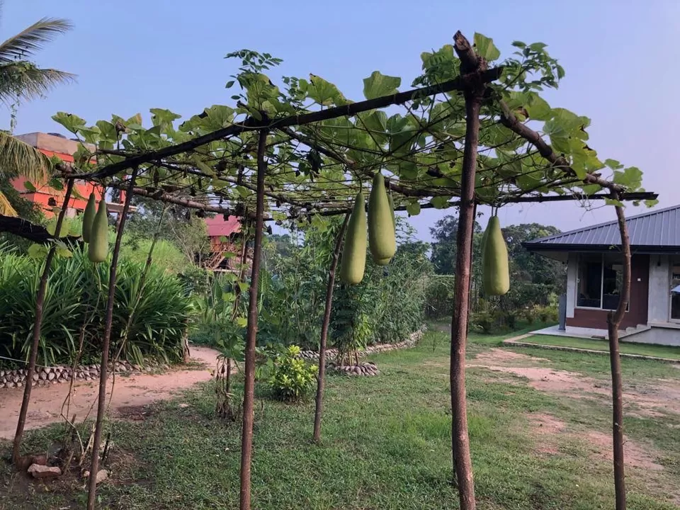 Photo of Ravana Spice and Herbal Garden, Sigiriya, Sri Lanka by Palak Airon