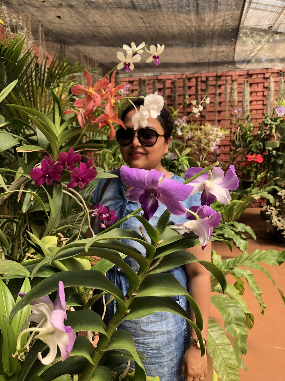 Photo of Royal Botanic Gardens, Peradeniya Rd, Kandy, Sri Lanka by Palak Airon