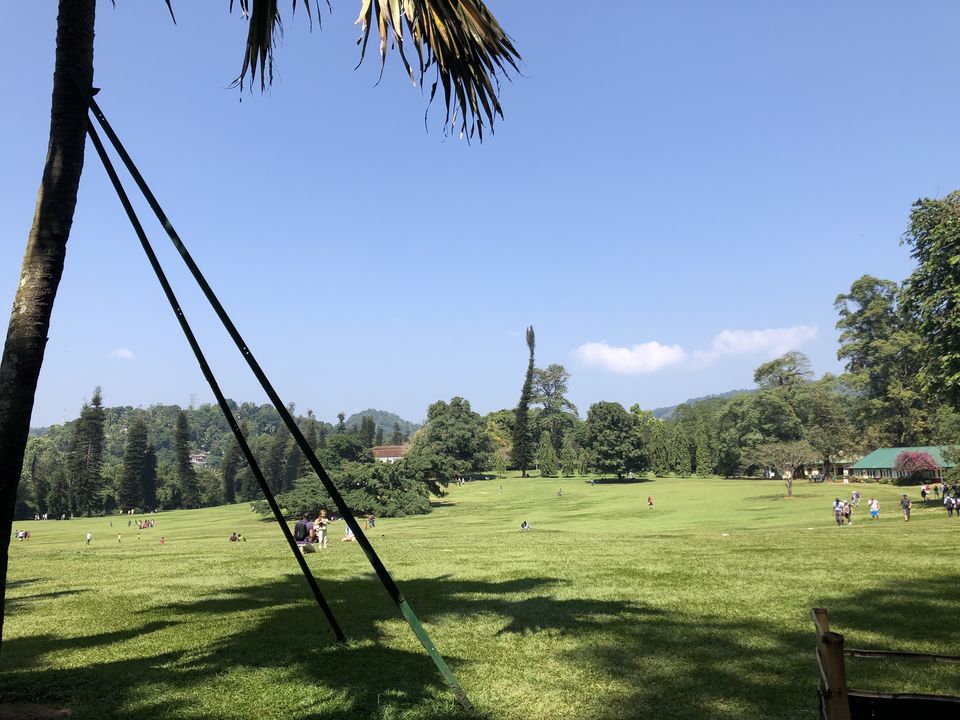 Photo of Royal Botanic Gardens, Peradeniya Rd, Kandy, Sri Lanka by Palak Airon
