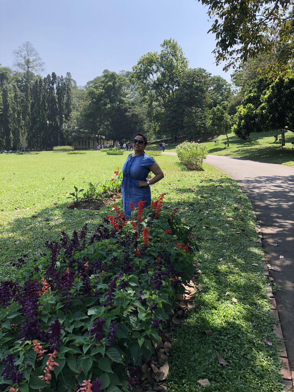 Photo of Royal Botanic Gardens, Peradeniya Rd, Kandy, Sri Lanka by Palak Airon