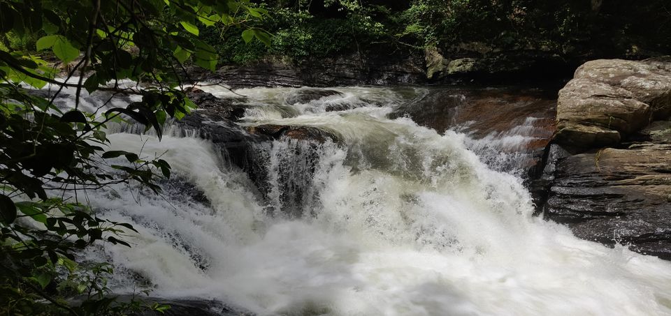 Photo of Nelliyampathy Forest Reserve, Nenmara, Kerala, India by Raghu Ram