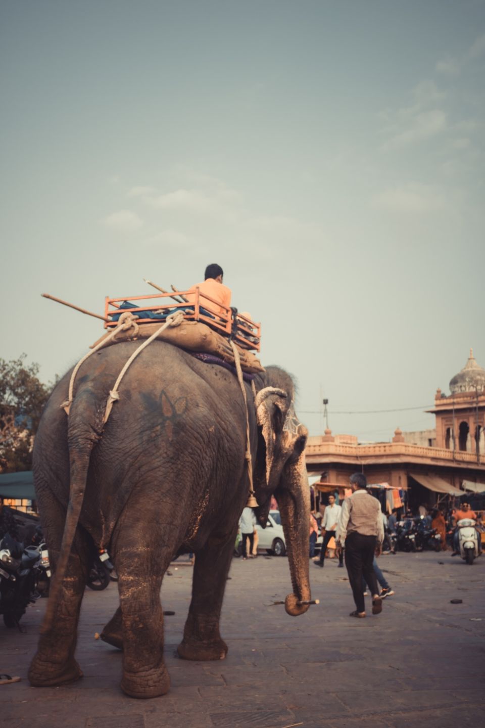 Photo of jodhpur by anjali bist
