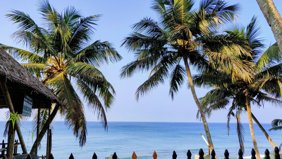 Photo of Make The Most Of Your Trip To Varkala, Kerela by Samridhi