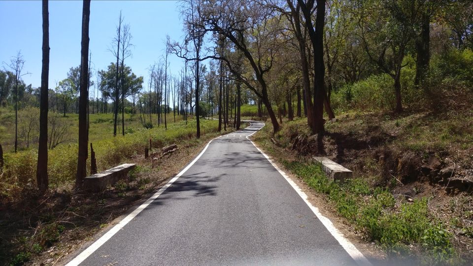 Photo of BR Hills - A perfect day trip! by Highway Wanderer