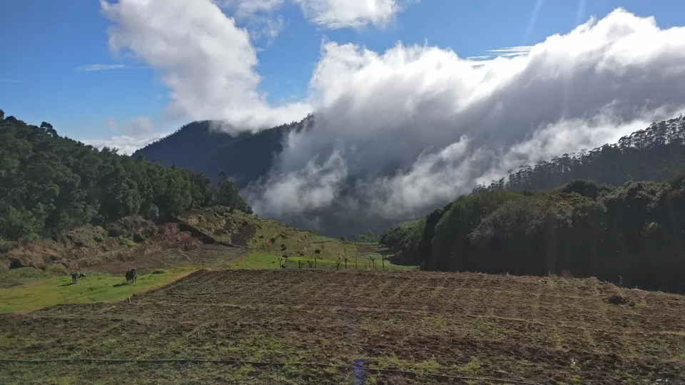 Photo of Kotagiri, Tamil Nadu, India by HighwayWanderer