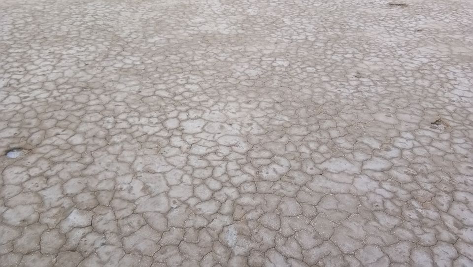 Photo of The beauty of Rann of Kutch by Maria Jenifer