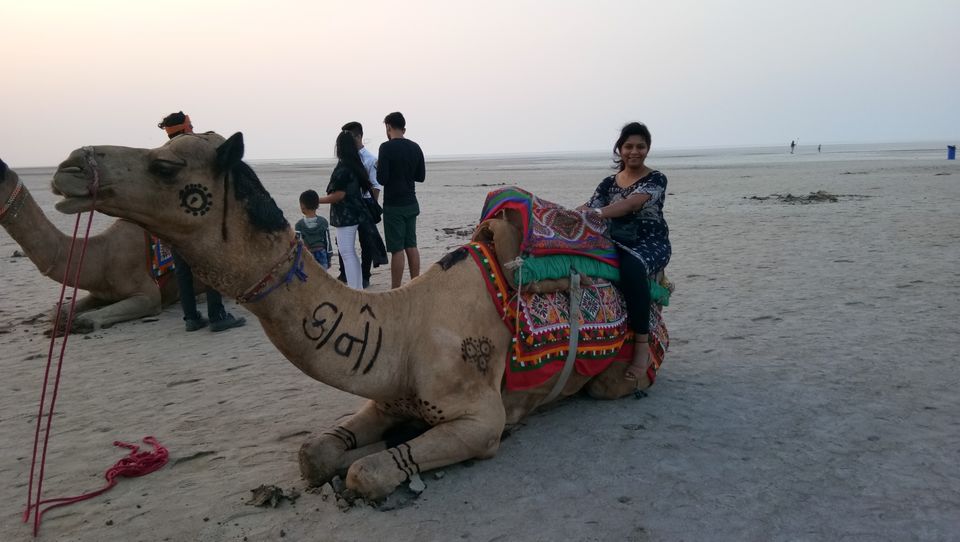 Photo of The beauty of Rann of Kutch by Maria Jenifer