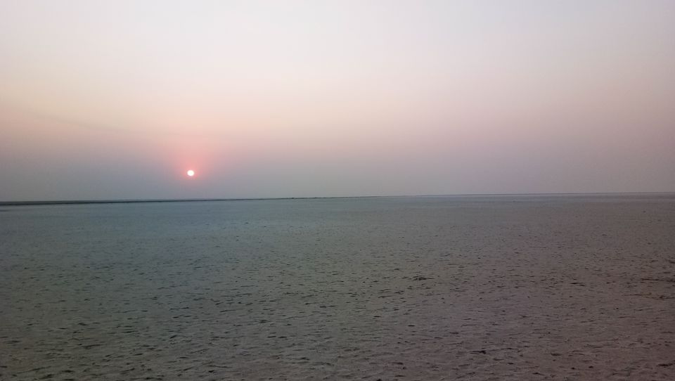 Photo of The beauty of Rann of Kutch by Maria Jenifer