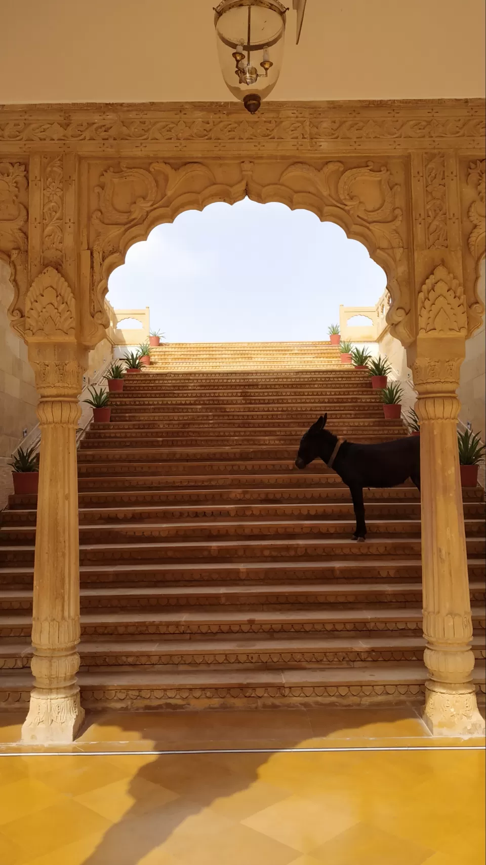 Photo of Jaislmer - Sam - Dhanana Road, Jaisalmer, India by Tanushree Gupta