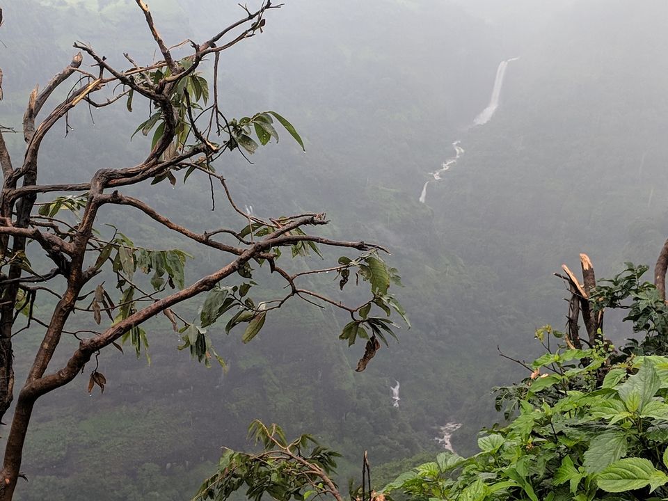 Photo of A walk through the Khandala ghats by Mary Adalkar